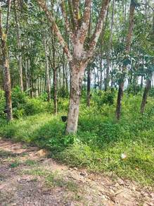 Agricultural Land in Segamat, JHR