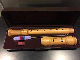 Bsl wood recorder