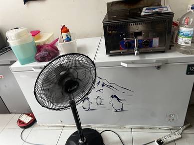 freezer hisense