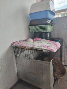 Sangkar kucing untuk dijual