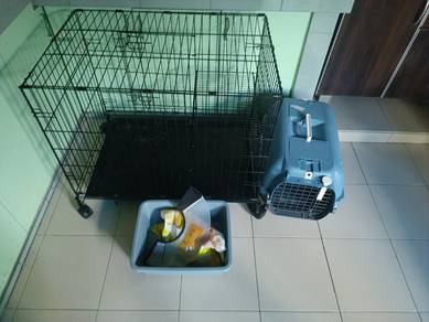 sangkar kucing Dan aksesori