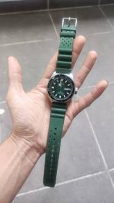 citizen promaster