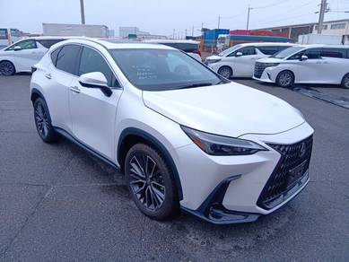 Lexus NX 250 BASE GRADE in Klang, SGR