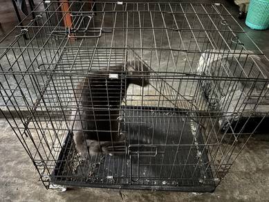 Sangkar kucing 2 tingkat