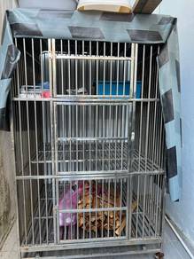 Sangkar steel kucing for sale