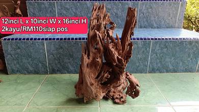 driftwood terrarium paludarium aquascape