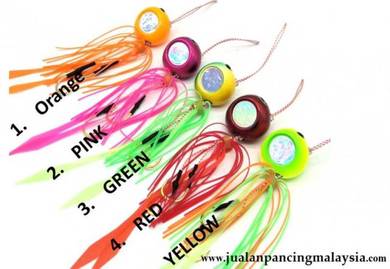 Japan Tai Tairaba Hologram Jig, 150G