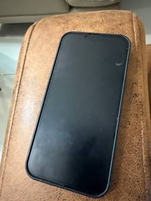 iphone 13 pro max 256