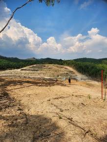 Agricultural Land in Alor Gajah, MLK