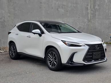 Lexus NX 250 VERSION L in Perai, PNG