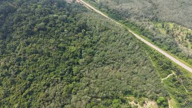 Agricultural Land in Alor Gajah, MLK