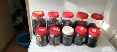 Belimbing Buloh Hitam Rebus