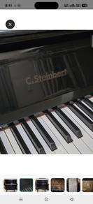 steinbert piano 