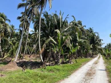 Agricultural Land in Bagan Datoh, PRK