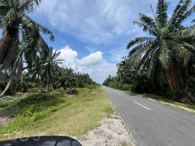 Agricultural Land in Kuala Langat, SGR