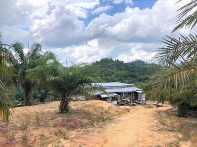 Agricultural Land in Beluran, SBH