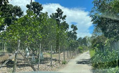 Mixed Development Land in Papar, SBH