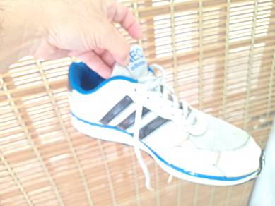 Adidas Neo Classic Size 42 EU
