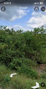 Agricultural Land in Gemencheh, NSN
