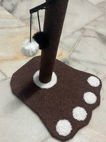 Cat Scratch Play/Toy