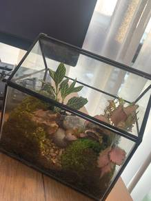 Terrarium
