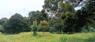 Agricultural Land in Labu, NSN