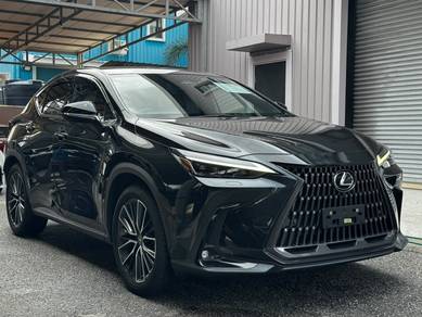 Lexus NX 250 LUXURY in Klang, SGR