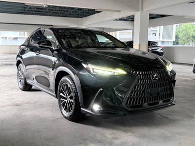 Lexus NX 250 VERSION L in Sungai Besi, KUL