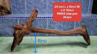 Classic shape driftwood untuk aquarium