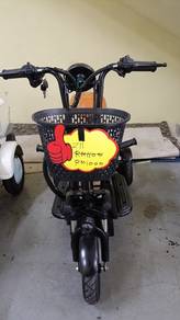 Ebike Z11