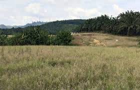 Agricultural Land in Klang, SGR