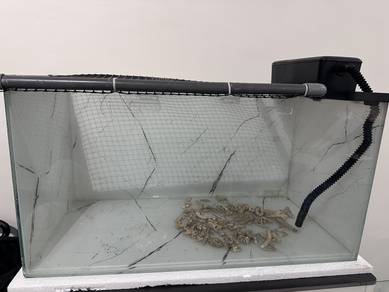 aquarium 2.5 ft