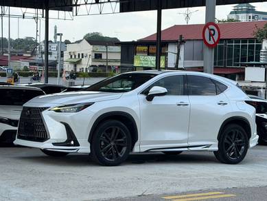 2023 Lexus NX 250 LUXURY