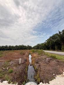 Agricultural Land in Banting, SGR