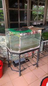 aquarium 3ft