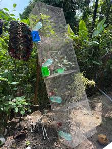 sangkar arnab ayam burung