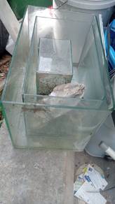 smua akuarium 
