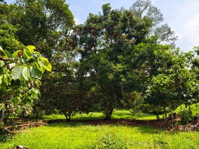 Agricultural Land in Hulu Langat, SGR