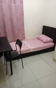 Room in OUG, KUL