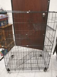 Sangkar Kucing