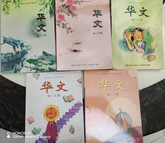 IGCSE chinese 