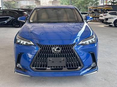 Lexus NX 250 LUXURY in Kayu Ara, SGR