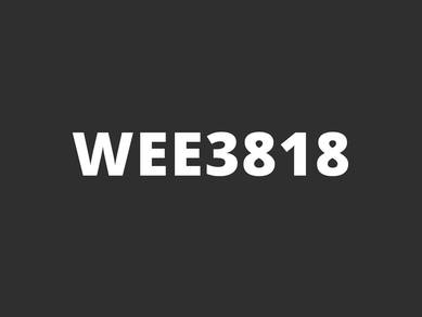 WEE3818