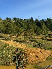 DURIAN FARM to IPO