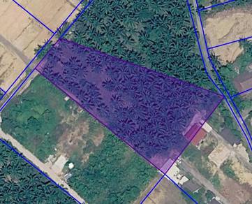 Agricultural Land in Rawang, SGR