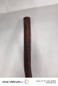 Walking stick Kayu Tas Merah