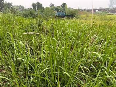 Commercial Land in Johor Bahru, JHR