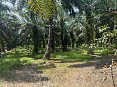 Commercial Land in Beaufort, SBH