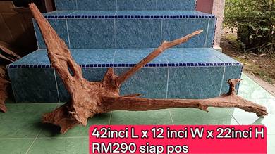 Driftwood  akar aquarium BESAR TERBARU