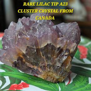Rare Lilac Tip Auralite 23 cluster crystal-Canada